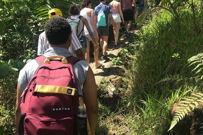 El Yunque Rainforest Guided Day Tour From San Juan - Guest Feedback: Common Remarks
