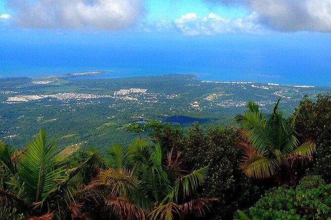 El Yunque Rainforest Guided Tour - Tour Schedule and Duration