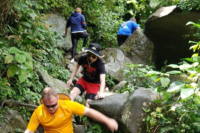 El Yunque Rainforest Guided Tour - Cancellation and Booking Policies