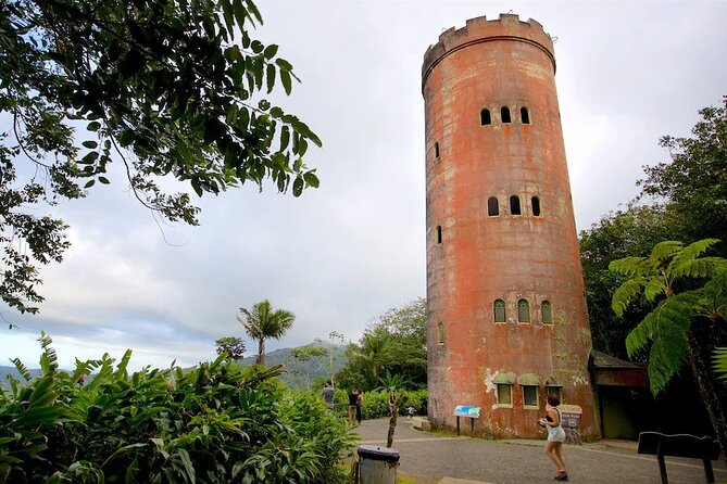 El Yunque Rainforest Guided Tour - Exploring El Yunque