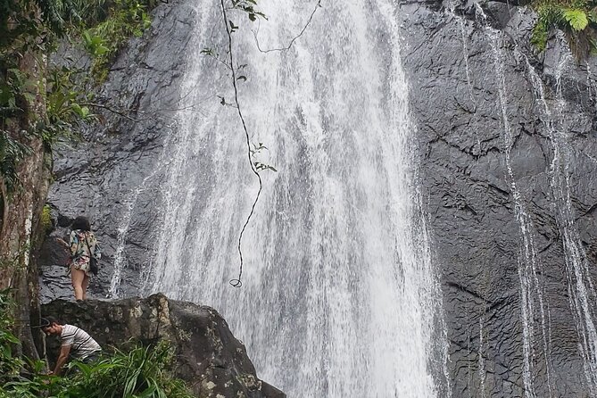El Yunque Rainforest Guided Tour - Tour Schedule and Duration