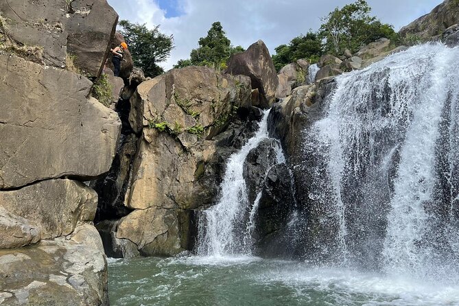 El Yunque Rainforest Hike and Luquillo Beach Tour - Visiting Luquillo Beach and Cuisine
