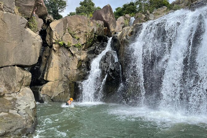 El Yunque Rainforest Hike and Luquillo Beach Tour - Traveler Feedback and Recommendations