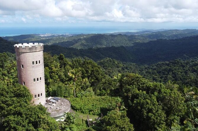 El Yunque Rainforest Hike With Transport From San Juan - Key Points