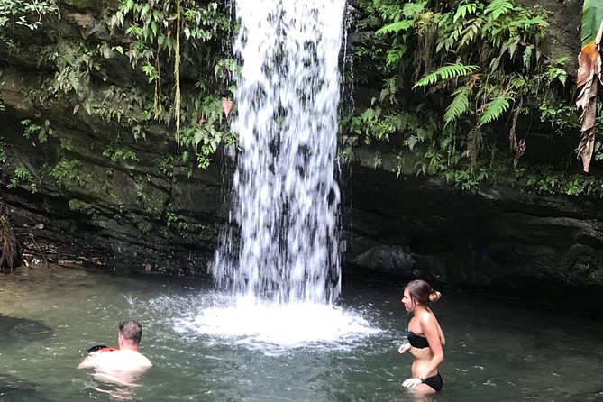 El Yunque Rainforest Hiking Tour From San Juan - Scenic Highlights of the Tour