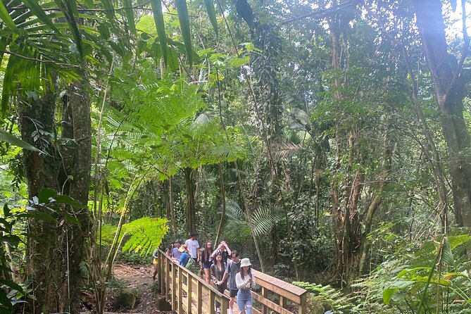 El Yunque Rainforest Hiking Tour From San Juan - Hiking and Activity Experiences
