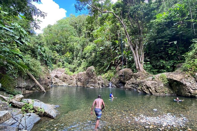 El Yunque Rainforest Morning River and Hike Adventure - Exploring the Rainforest and River