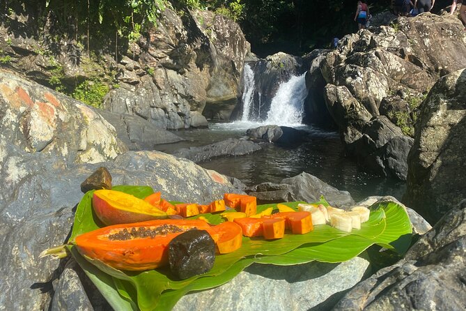 El Yunque Rainforest Morning River and Hike Adventure - Hiking and Adventure Activities
