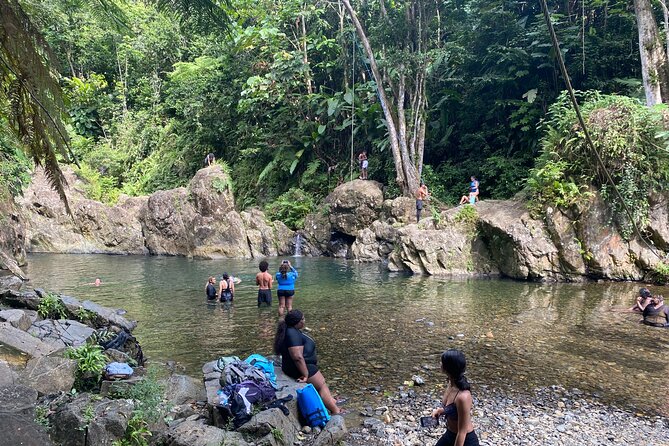 El Yunque Rainforest Morning River and Hike Adventure - Participant Reviews and Recommendations