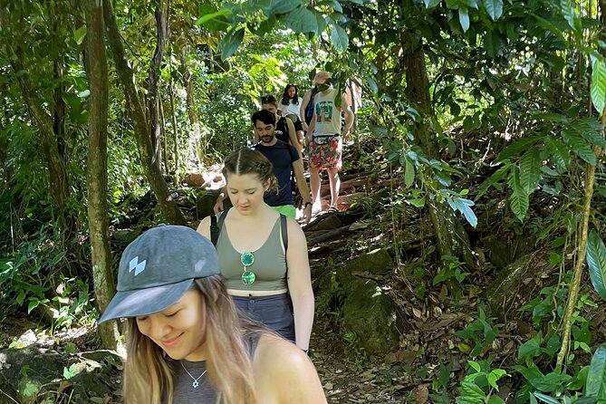 El Yunque Rainforest, Rivers, Waterslides & Beach Combo W/Transport Included - Exploring El Yunque Rainforest