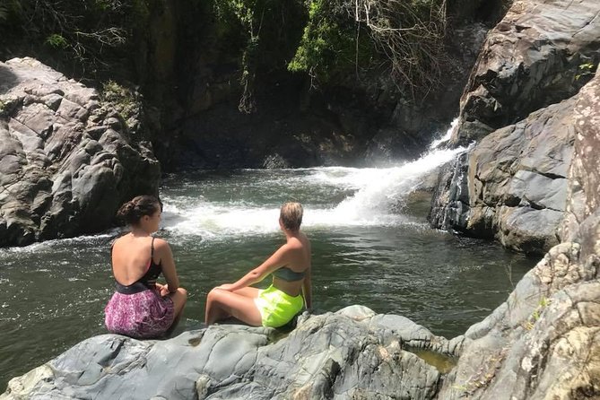 El Yunque Rainforest Tour With Transport From San Juan Area - Exploring the Rainforest Wonders