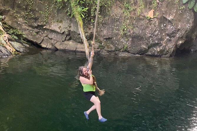 El Yunque Rainforest Tour With Transport From San Juan - Highlights of the Tour