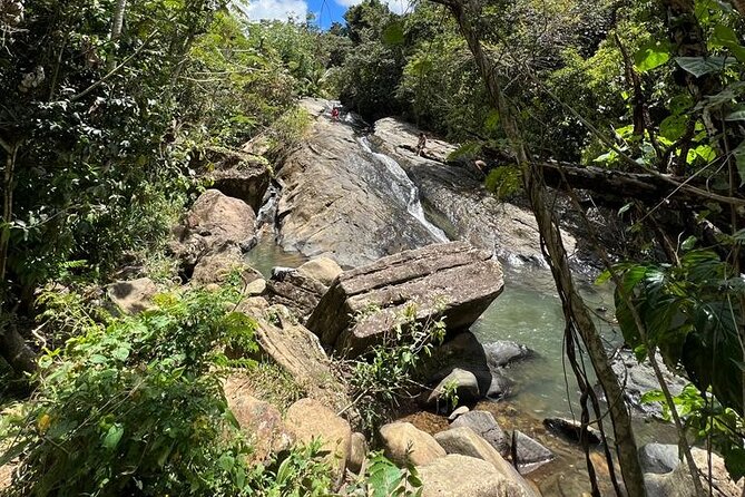 El Yunque Rainforest, Waterslides, and Beach Tour With Transport - Tour Overview and Highlights