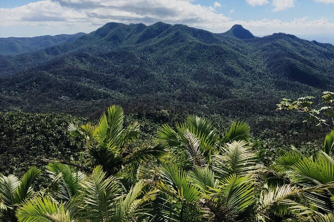 El Yunque Rainforest, Waterslides, and Beach Tour With Transport - Guest Feedback and Recommendations