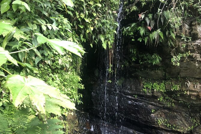 El Yunque Rainforest, Waterslides, and Beach Tour With Transport - Beach and Local Dining Experiences