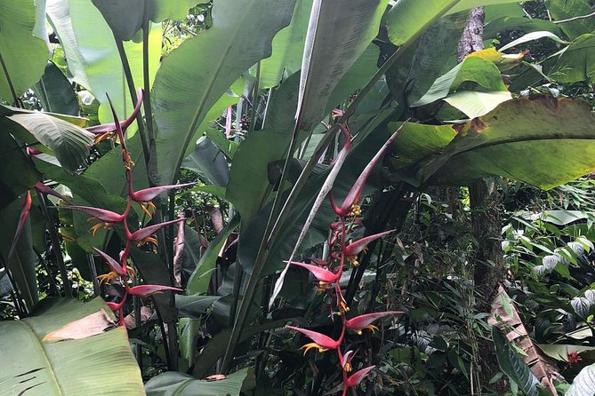 El Yunque Rainforest, Waterslides, and Beach Tour With Transport - Tour Duration and Inclusions