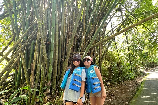 El Yunque Rainforest: Waterslides, Waterfalls and Rope Swing - Safety and Accessibility