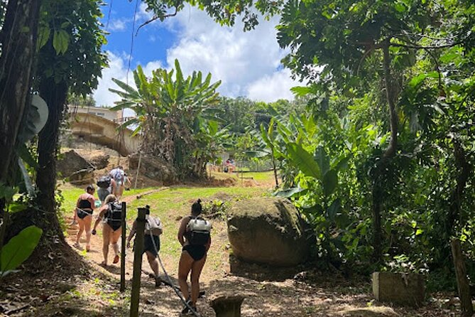 El Yunque Waterslide and Waterfall Tour With Food and Photos - Activities and Inclusions