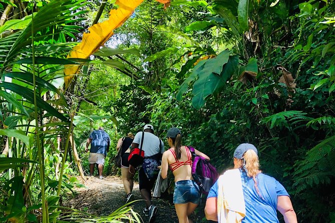 El Yunque: Waterslide, Waterfall, Shopping, and Beach Tour - Relaxation at Luquillo Beach