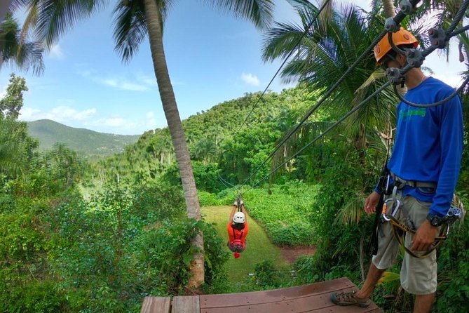 El Yunque Ziplining in Puerto Rico - Guest Reviews and Feedback