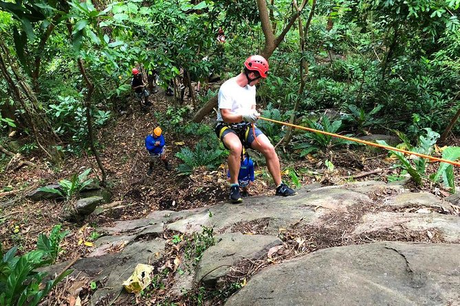 El Yunque Ziplining in Puerto Rico - Scenic Ziplines and Educational Hike
