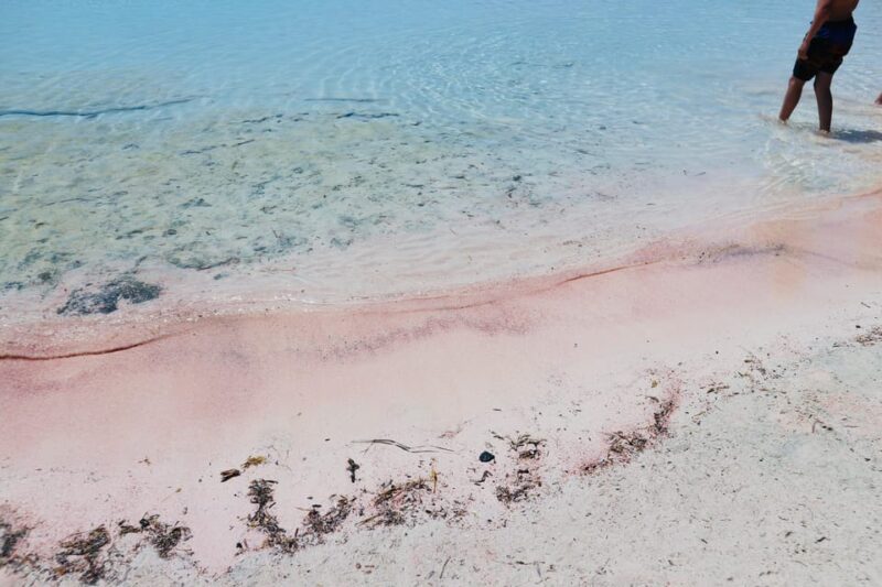 Elafonisi Road Trip - Be First at Beach! - Key Points