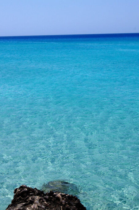 Elafonisi Road Trip - Be First at Beach! - Frequently Asked Questions