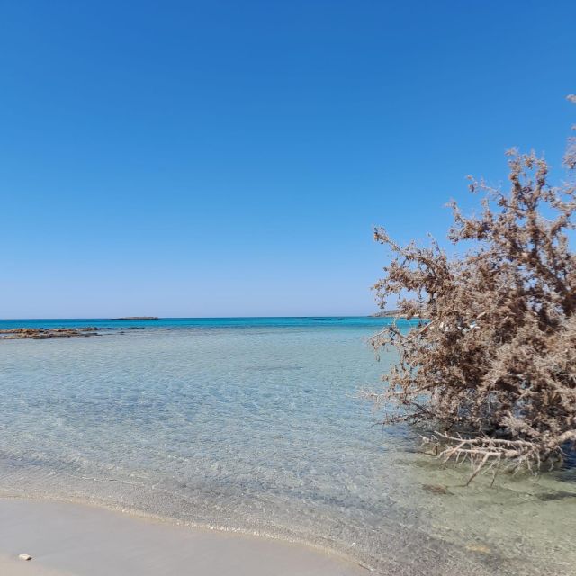 Elafonissi: Private Beach Day Trip With SUP - Booking Flexibility