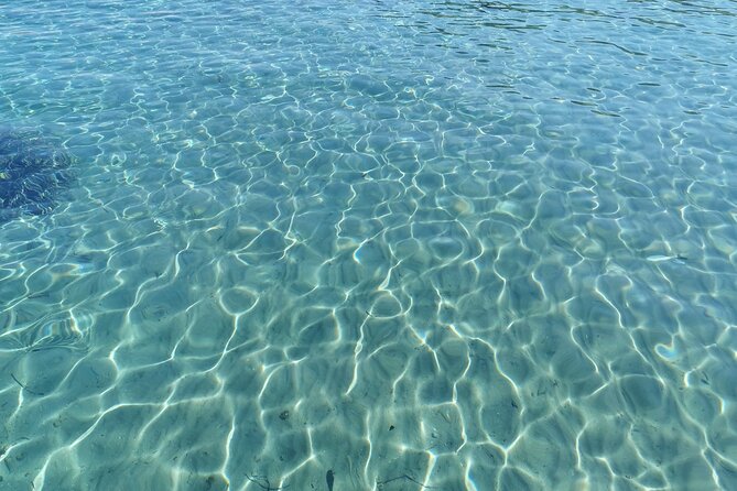 Elaphiti Full-Day Boat Tour From Dubrovnik With Lunch - Pricing and Booking