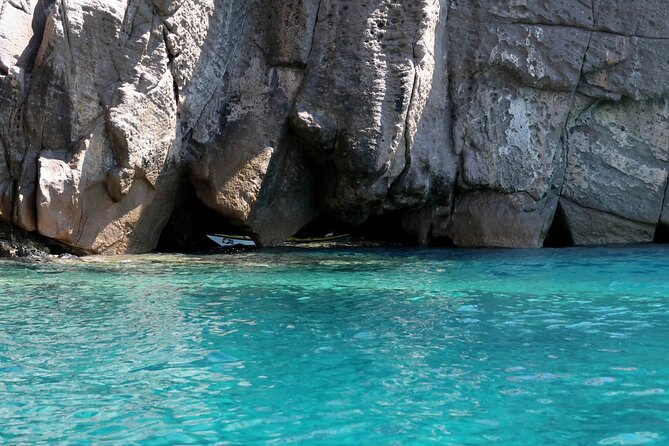 Elba Island Full Day Sea Kayak Tour - Marine Flora and Fauna