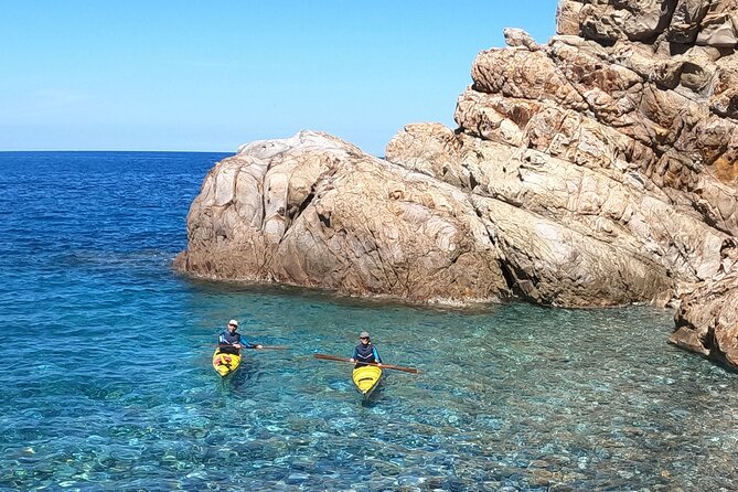 Elba Island Full Day Sea Kayak Tour - Secluded Beaches and Swimming