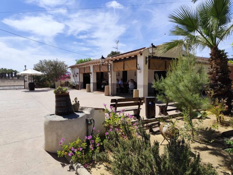 Elche: Oil & Wine Tasting With Local Food Tasting - Wine Tasting at Bodegas Faelo