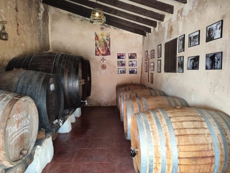 Elche: Oil & Wine Tasting With Local Food Tasting - Local Food Pairings