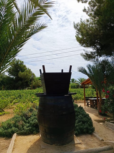 Elche: Oil & Wine Tasting With Local Food Tasting - Frequently Asked Questions