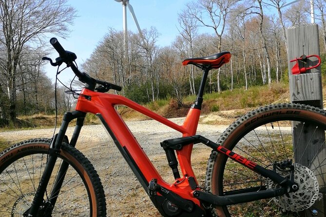 Electric Assisted Bike Rental - Bike Rental Location and Offerings