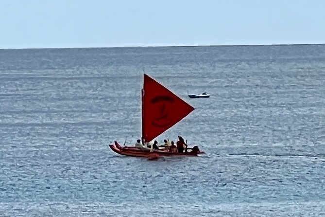 Electric Beach Snorkeling With Dolphins Tour - Meeting and Pickup Details