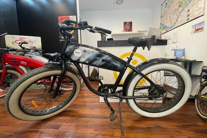 Electric Bicycle Rental in Seville - Expectations for the Experience