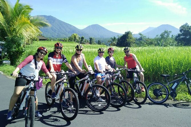 Electric Bicycle Tour in Jatiluwih UNESCO Site - Inclusions