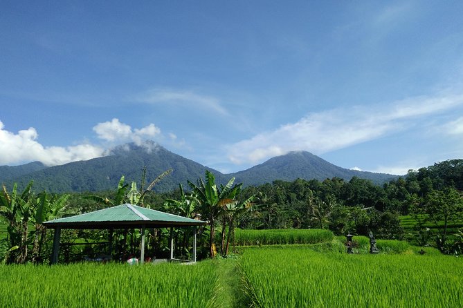 Electric Bicycle Tour in Jatiluwih UNESCO Site - Booking and Cancellation