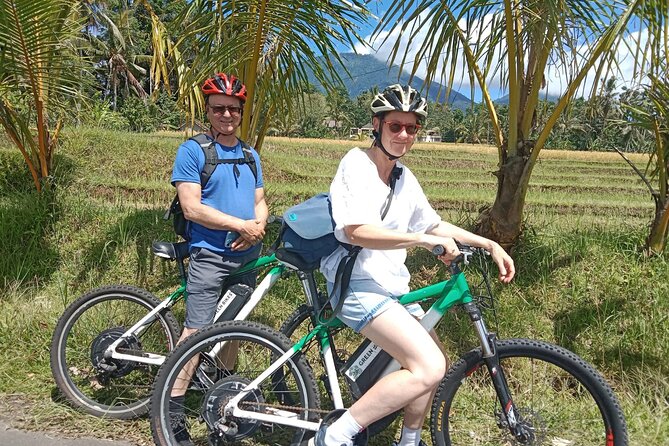 Electric Bicycle Tour in Jatiluwih UNESCO Site - Participant Requirements