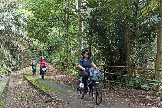 Electric Bicycle Tour in Quaint South Ubud - Good To Know