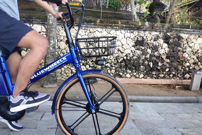 Electric Bicycle Tour in Quaint South Ubud - Highlights of the Experience
