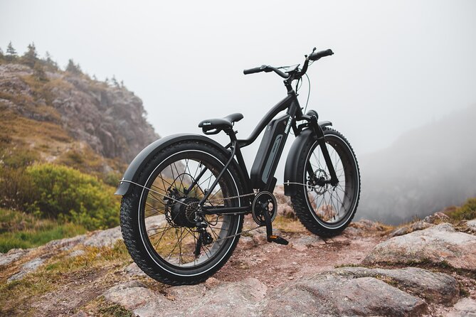 Electric Bike Adventure: Discover Javeas Stunning Landscapes - Key Points