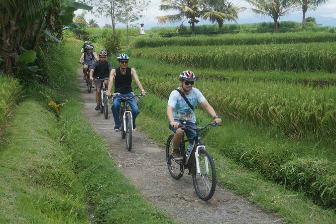 Electric Bike and Swing Package - Exploring Balinese Countryside