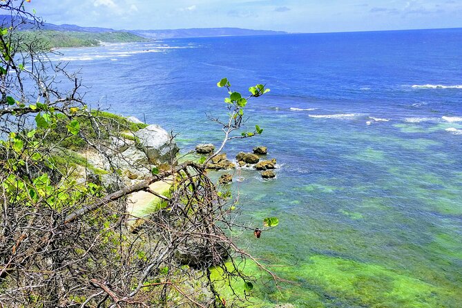 Electric Bike Bajan Sightseeing Experience (Transport Included) - Health and Safety Considerations