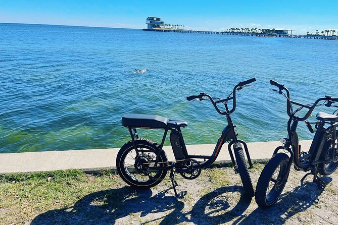 Electric Bike Day Rental - Pickup and Drop-off