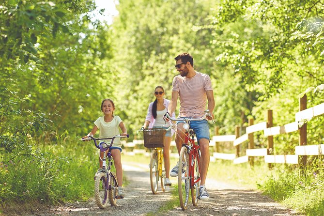 Electric Bike Excursion in Camargue - Small-Group Personalized Experience