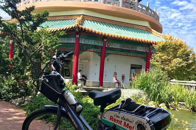 Electric Bike Rental Downtown Norfolk (Self Guided Tour) - Infant Seat Availability