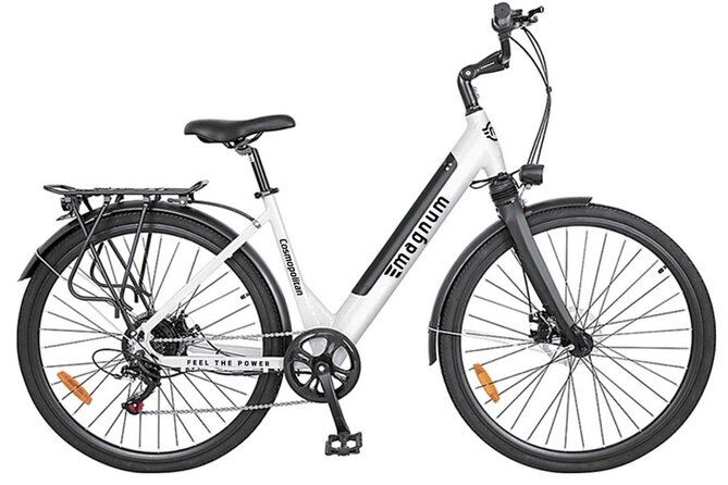 Electric Bike Rental for All Day - Key Points