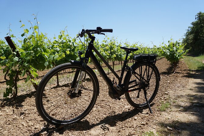 Electric Bike Rental From Vaison La Romaine - Exploring the Cycle Route